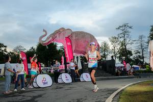 BIB: 
                            <button type="button" onclick="openModal(26529383)" class="btn btn-primary btn-sm float-right btn-popup" data-toggle="modal" data-target=".modal-high-quality">
                        <i class="fas fa-shopping-cart"></i> Add to Cart
                    </button>
                                            <button type="button" onclick="isThisMe(26529383, true)" class="btn btn-success btn-sm float-right btn-popup btn-isme hidden" data-toggle="tooltip" data-placement="bottom" title="นี่คือรูปของคุณใช่ไหม คลิกที่นี่เพื่อเอาเข้าอัลบั้ม">
                        <i class="fas fa-plus"></i> Add to album
                    </button>
                    <button type="button" onclick="isThisMe(26529383, false)" class="btn btn-warning btn-sm float-right btn-popup btn-isnotme hidden">
                        <i class="fas fa-ban"></i> Remove from album
                    </button>